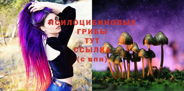 спиды Арсеньев