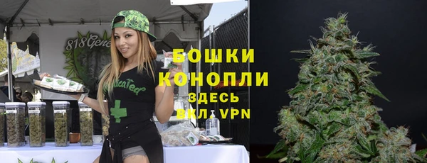 spice Аркадак