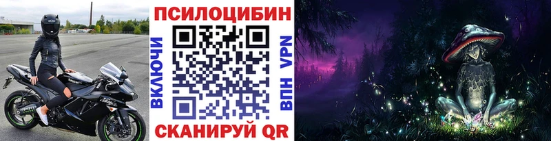 Галлюциногенные грибы Psilocybine cubensis  Межгорье 